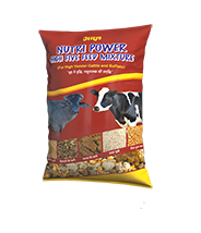 Amul Nutri Power Mixture
