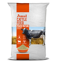 Amul Power Mixture